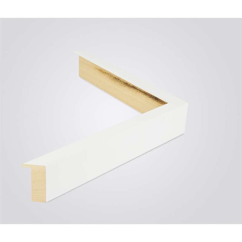 Frame 2055-001