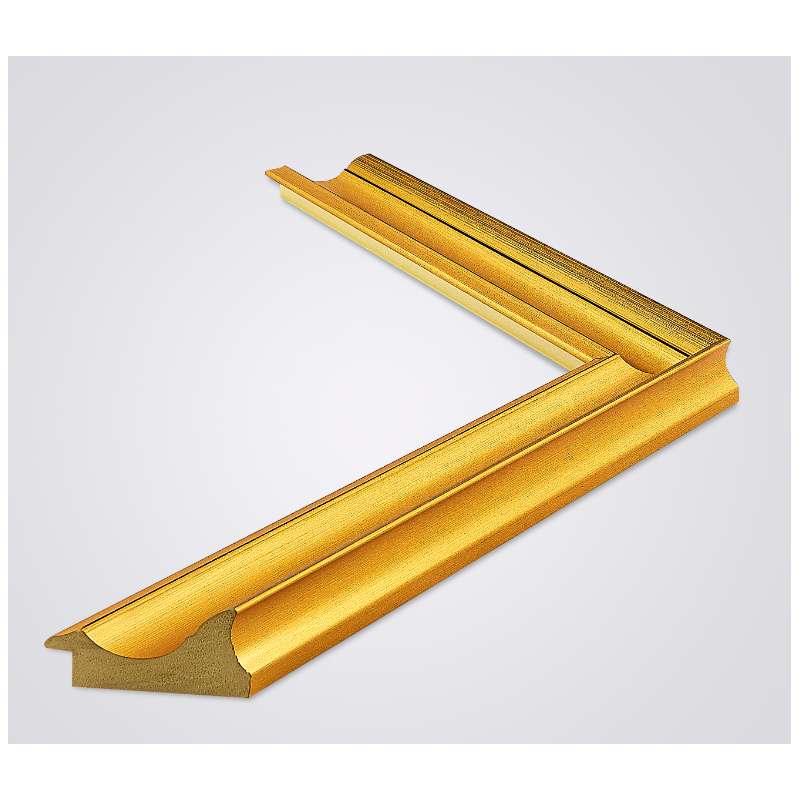 Frame P1101-2